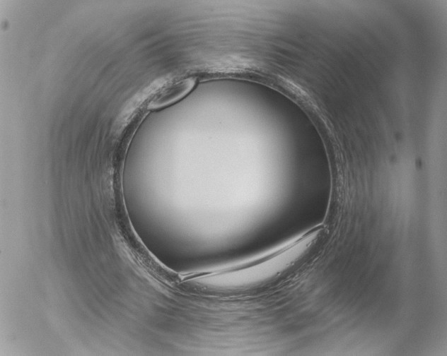 X0000052540535200507221428