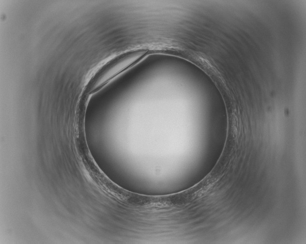 X0000052540536200507221428