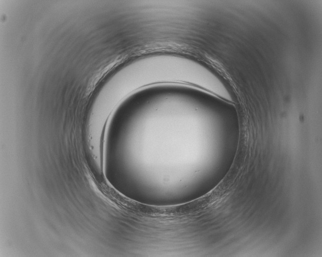 X0000052540538200507221428