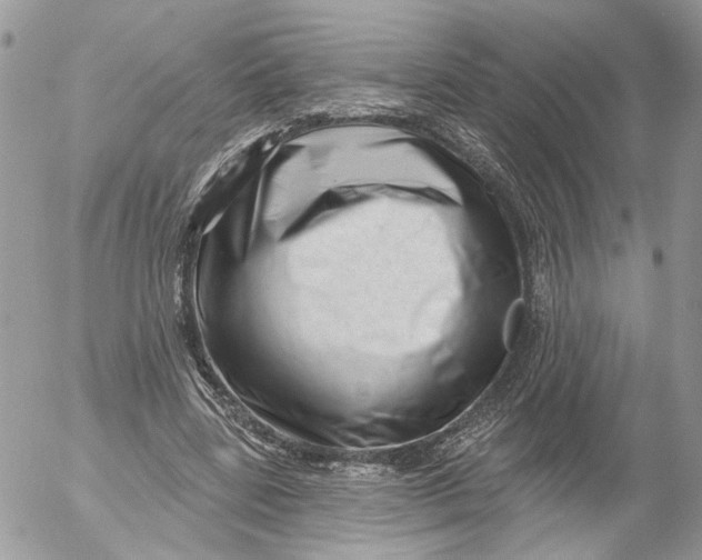 X0000052540539200507221428