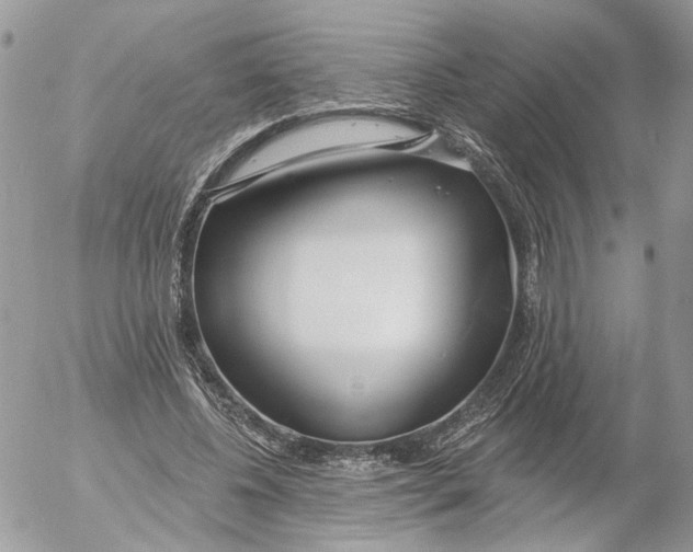 X0000052540540200507221428