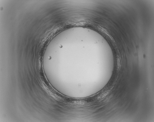 X0000052540541200507221428