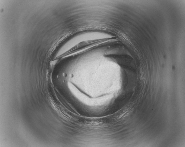 X0000052540542200507221428