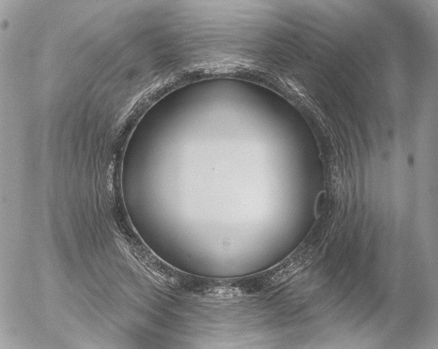 X0000052540543200507221428