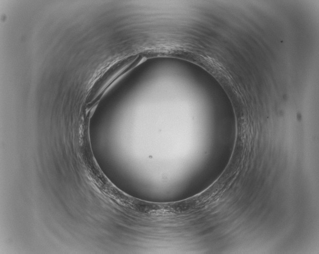 X0000052540544200507221428