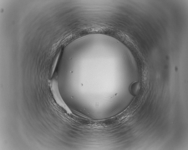 X0000052540545200507221428