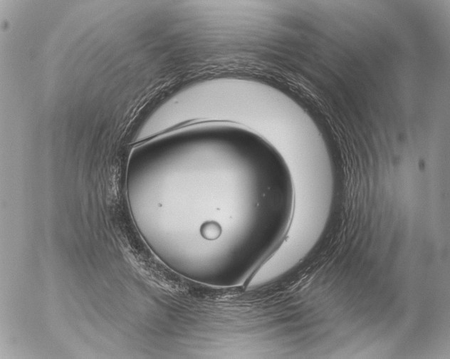 X0000052540546200507221428