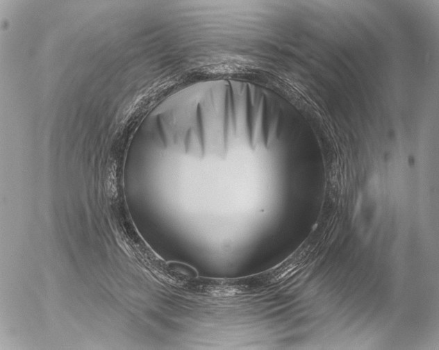 X0000052540547200507221428