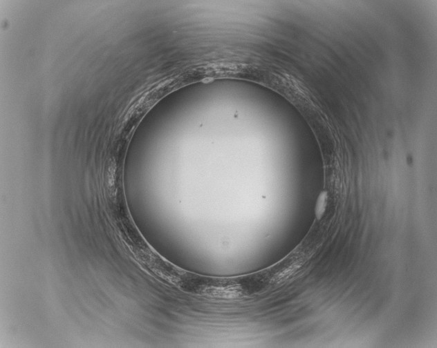 X0000052540548200507221428