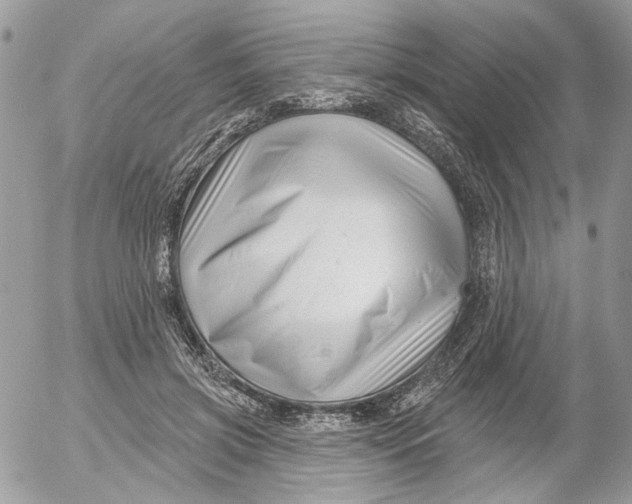 X0000052540549200507221428