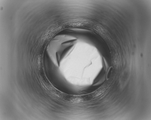 X0000052540551200507221428