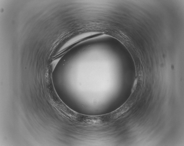 X0000052540552200507221428