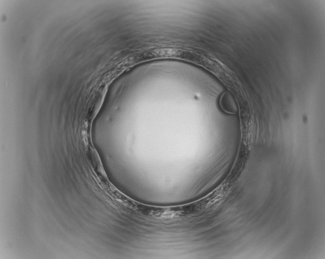 X0000052540553200507221428