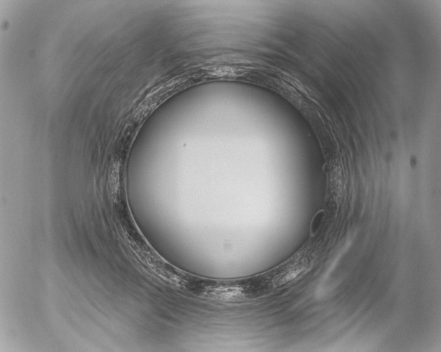 X0000052540554200507221428