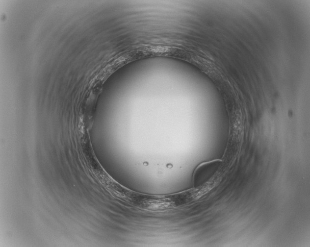 X0000052540555200507221428