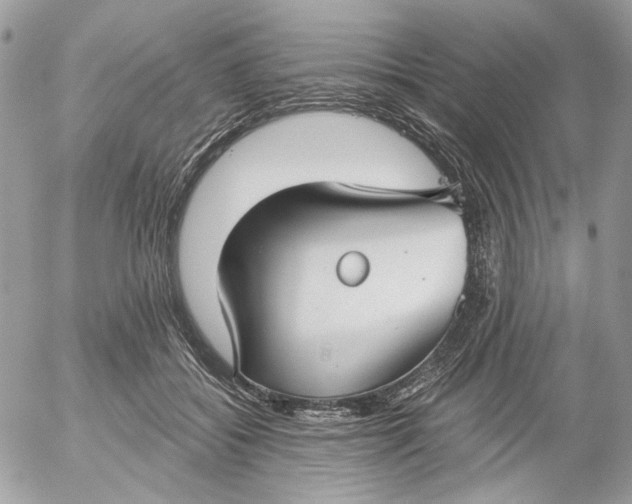 X0000052540556200507221428