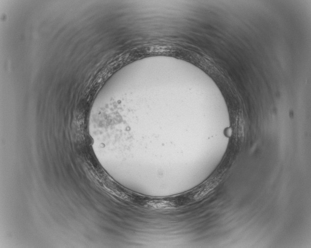 X0000052540557200507221428