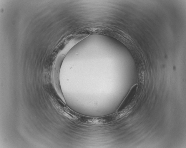 X0000052540558200507221428