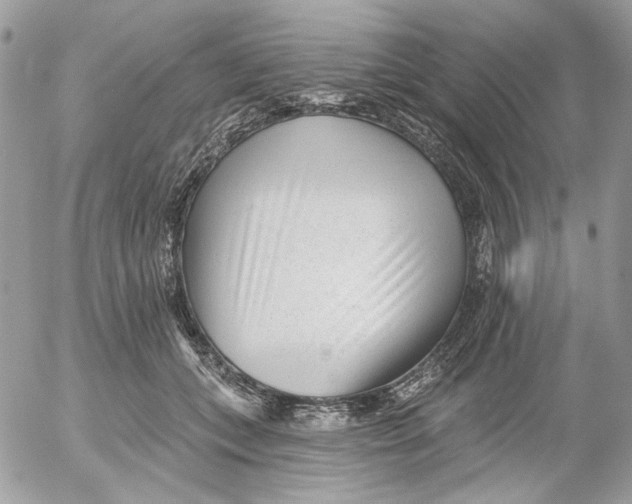 X0000052540559200507221428