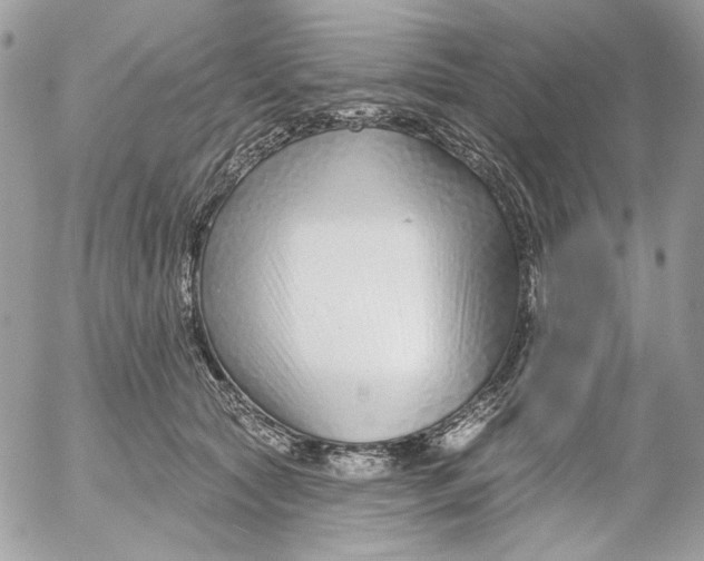 X0000052540561200507221428