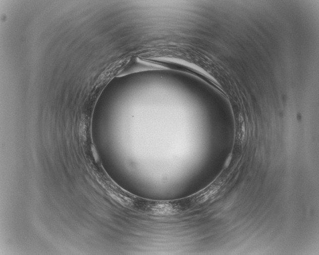 X0000052540562200507221428