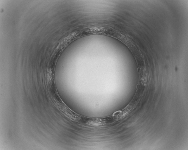 X0000052540563200507221428