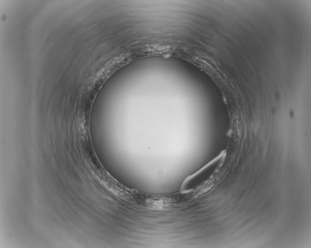 X0000052540564200507221428