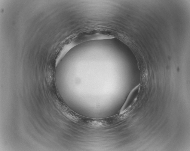 X0000052540566200507221429