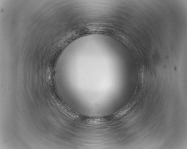 X0000052540567200507221429