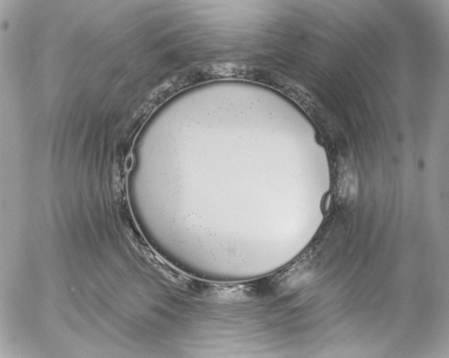 X0000052540569200507221429