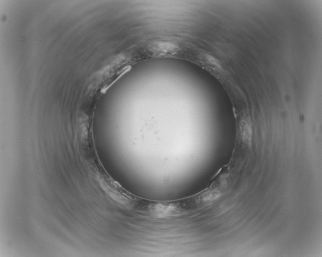 X0000052540570200507221429