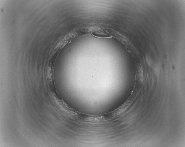 X0000052540571200507221429