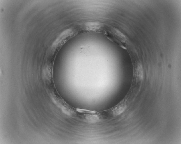 X0000052540572200507221429