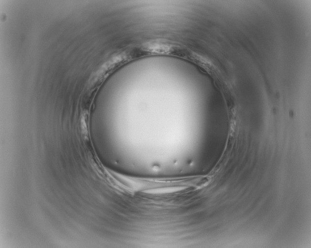 X0000052540573200507221429