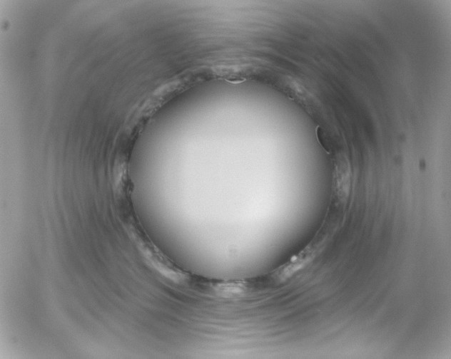 X0000052540574200507221429