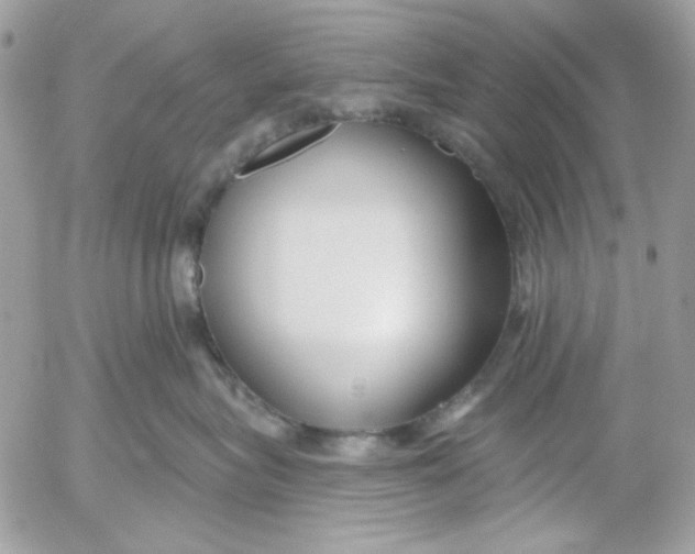 X0000052540575200507221429