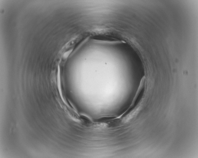 X0000052540576200507221429