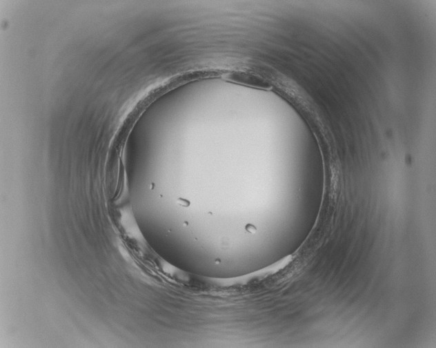 X0000052540580200507221428