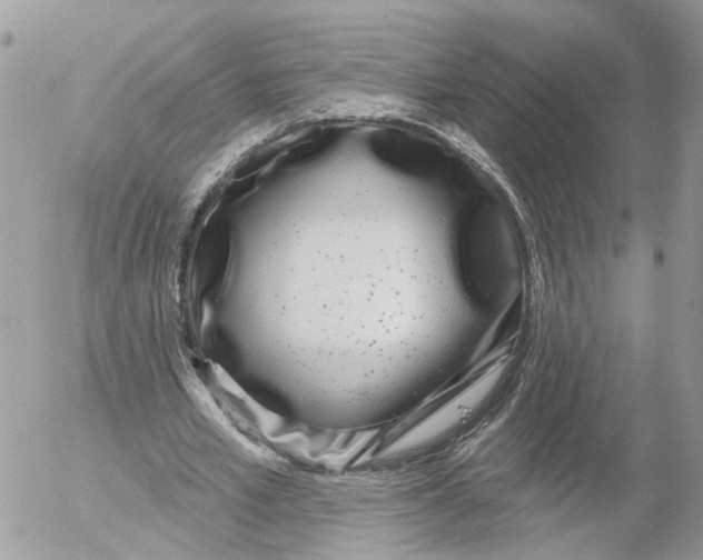 X0000052540581200507221428