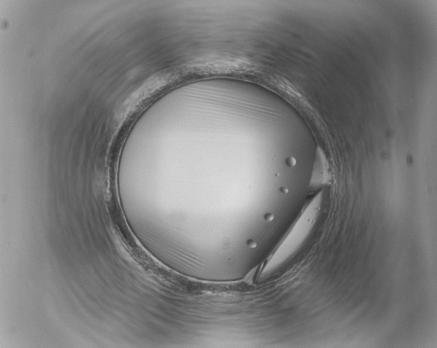 X0000052540582200507221428