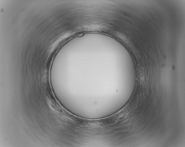 X0000052540583200507221428