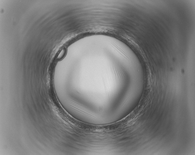 X0000052540584200507221428