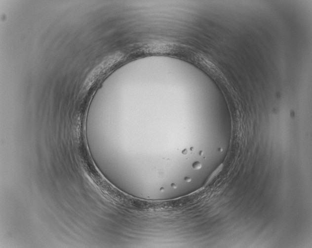 X0000052540586200507221428