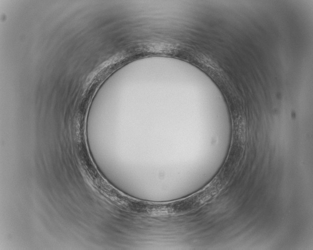 X0000052540587200507221428