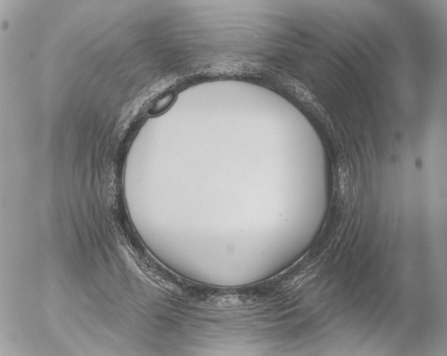 X0000052540588200507221428