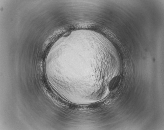 X0000052540590200507221428