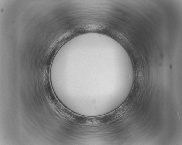 X0000052540591200507221428