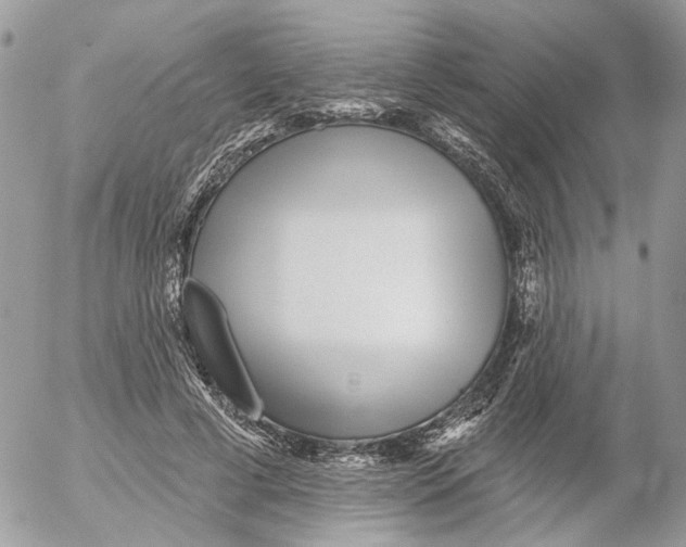 X0000052540593200507221428