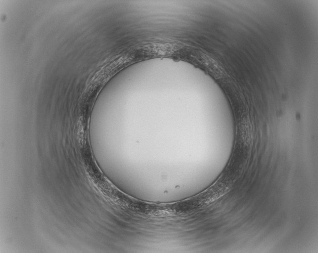 X0000052540594200507221428