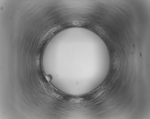 X0000052540595200507221427